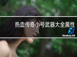 热血传奇小号武器大全属性