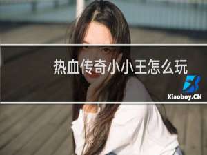 热血传奇小小王怎么玩