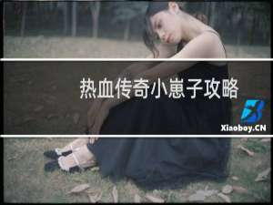 热血传奇小崽子攻略