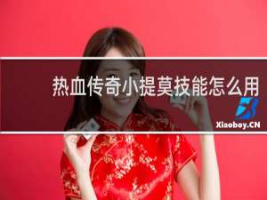 热血传奇小提莫技能怎么用