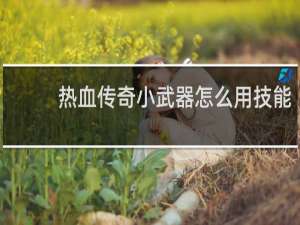 热血传奇小武器怎么用技能