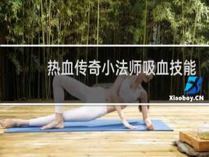 热血传奇小法师吸血技能