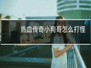 热血传奇小狗哥怎么打怪