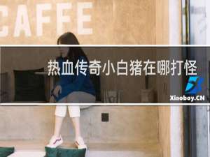 热血传奇小白猪在哪打怪