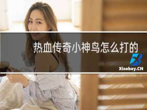 热血传奇小神鸟怎么打的