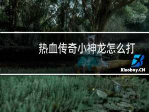 热血传奇小神龙怎么打