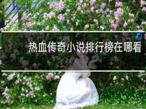 热血传奇小说排行榜在哪看
