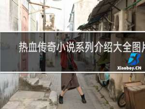 热血传奇小说系列介绍大全图片