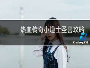 热血传奇小道士圣兽攻略