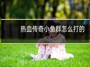 热血传奇小鱼群怎么打的