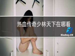 热血传奇少林天下在哪看