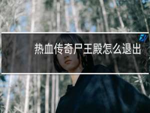热血传奇尸王殿怎么退出