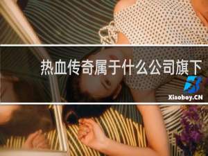 热血传奇属于什么公司旗下