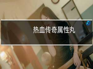 热血传奇属性丸