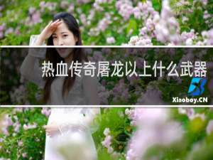 热血传奇屠龙以上什么武器