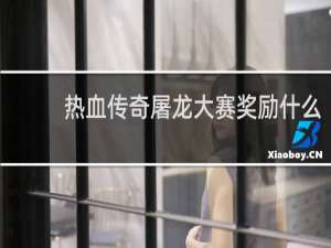 热血传奇屠龙大赛奖励什么