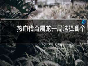 热血传奇屠龙开局选择哪个