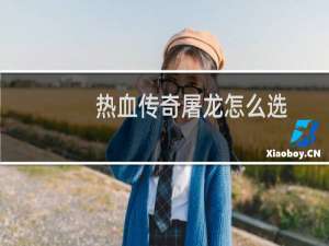 热血传奇屠龙怎么选