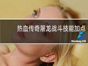 热血传奇屠龙战斗技能加点