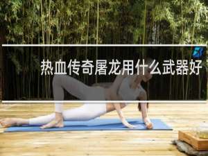 热血传奇屠龙用什么武器好