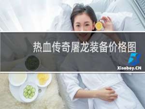 热血传奇屠龙装备价格图