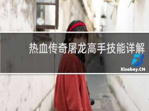热血传奇屠龙高手技能详解