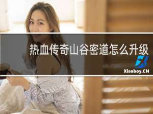 热血传奇山谷密道怎么升级