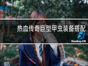 热血传奇巨型甲虫装备搭配