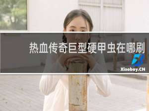 热血传奇巨型硬甲虫在哪刷