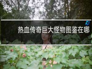 热血传奇巨大怪物图鉴在哪