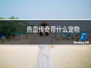 热血传奇带什么宠物