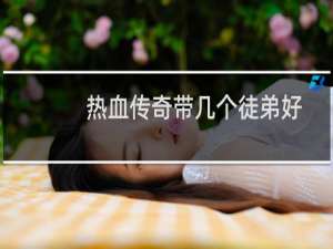 热血传奇带几个徒弟好