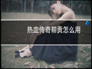 热血传奇帮贡怎么用