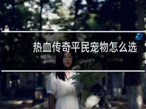 热血传奇平民宠物怎么选