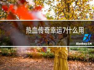 热血传奇幸运7什么用