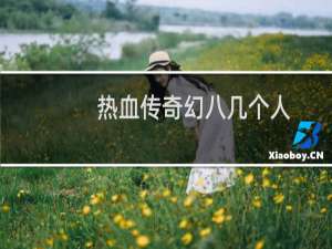 热血传奇幻八几个人