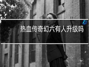 热血传奇幻六有人升级吗
