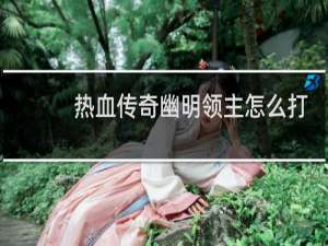 热血传奇幽明领主怎么打
