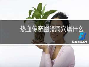 热血传奇幽暗洞穴爆什么