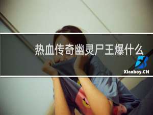 热血传奇幽灵尸王爆什么