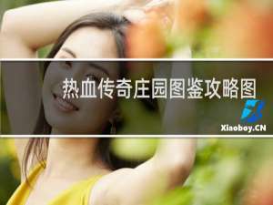 热血传奇庄园图鉴攻略图