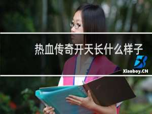 热血传奇开天长什么样子