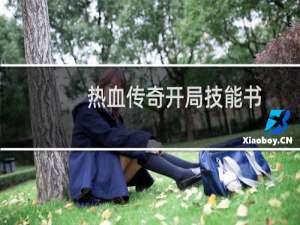 热血传奇开局技能书