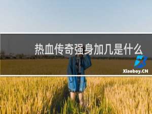 热血传奇强身加几是什么