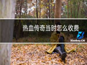 热血传奇当时怎么收费