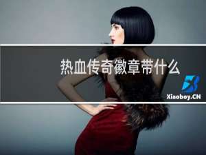 热血传奇徽章带什么