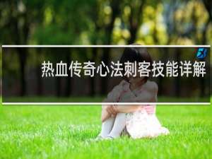 热血传奇心法刺客技能详解