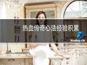 热血传奇心法经验积累