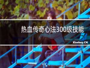 热血传奇心法300级技能