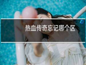热血传奇忘记哪个区